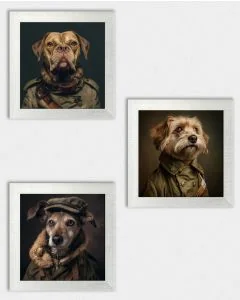 Posterset 'Generaldogs C2' - 3 Poster