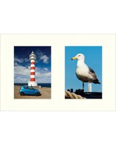 Galerie-Passepartout 4204 für Rahmen 25x37,5