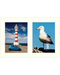 Galerie-Passepartout 4208 für Rahmen 25x37,5