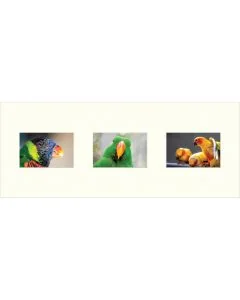 Galerie-Passepartout 4213 für Rahmen 25x62,5