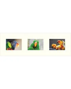 Galerie-Passepartout 4217 für Rahmen 25x77