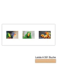 Galerierahmen Design 4213, 25x62,5, 3 Ausschnitte 10x15 buche-natur