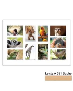 Galerierahmen Design 4232, 40x60, 10 Ausschnitte 10x15 buche-natur