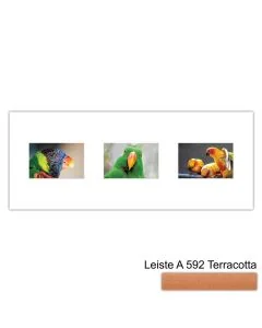 Galerierahmen Design 4213, 25x62,5, 3 Ausschnitte 10x15 terracotta