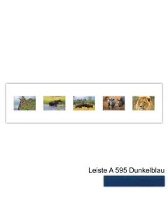Galerierahmen Design 4215, 25x100, 5 Ausschnitte 10x15 dunkelblau