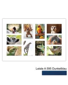 Galerierahmen Design 4232, 40x60, 10 Ausschnitte 10x15 dunkelblau