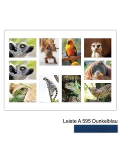 Galerierahmen Design 4239, 50x70, 10 Ausschnitte 13x18 dunkelblau