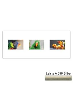 Galerierahmen Design 4213, 25x62,5, 3 Ausschnitte 10x15 altsilber