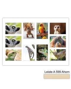 Galerierahmen Design 4239, 50x70, 10 Ausschnitte 13x18 ahorn-natur