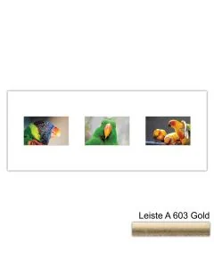 Galerierahmen Design 4213, 25x62,5, 3 Ausschnitte 10x15 altgold