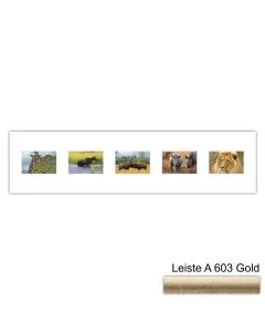 Galerierahmen Design 4215, 25x100, 5 Ausschnitte 10x15 altgold
