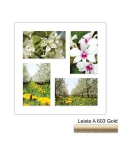 Galerierahmen Design 4226, 30x30, 4 Ausschnitte 10x15 altgold