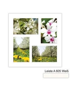 Galerierahmen Design 4226, 30x30, 4 Ausschnitte 10x15 schneeweiss