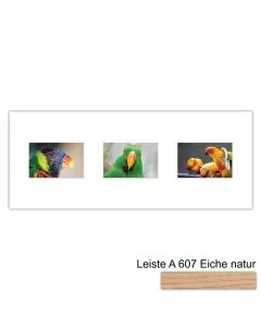 Galerierahmen Design 4213, 25x62,5, 3 Ausschnitte 10x15 braun-eiche-natur