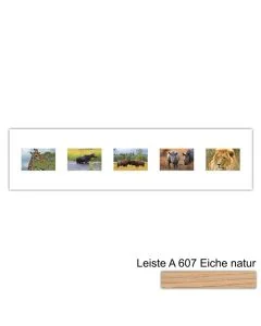 Galerierahmen Design 4215, 25x100, 5 Ausschnitte 10x15 braun-eiche-natur
