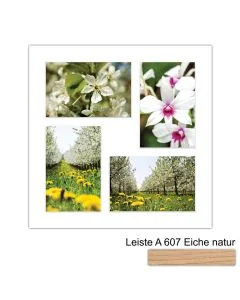 Galerierahmen Design 4226, 30x30, 4 Ausschnitte 10x15 braun-eiche-natur