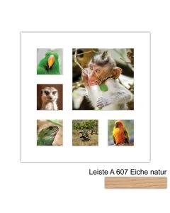Galerierahmen Design 4227, 40x40, 1 Ausschnitt 20x20, 5 Ausschnitte 9x9 braun-eiche-natur