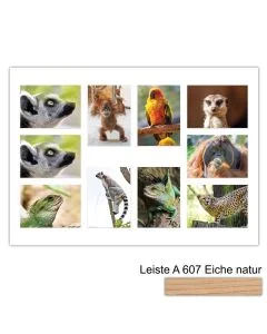 Galerierahmen Design 4239, 50x70, 10 Ausschnitte 13x18 braun-eiche-natur