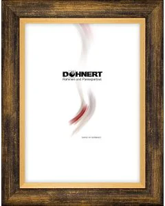 Kunststoffrahmen D283 schwarz-gold