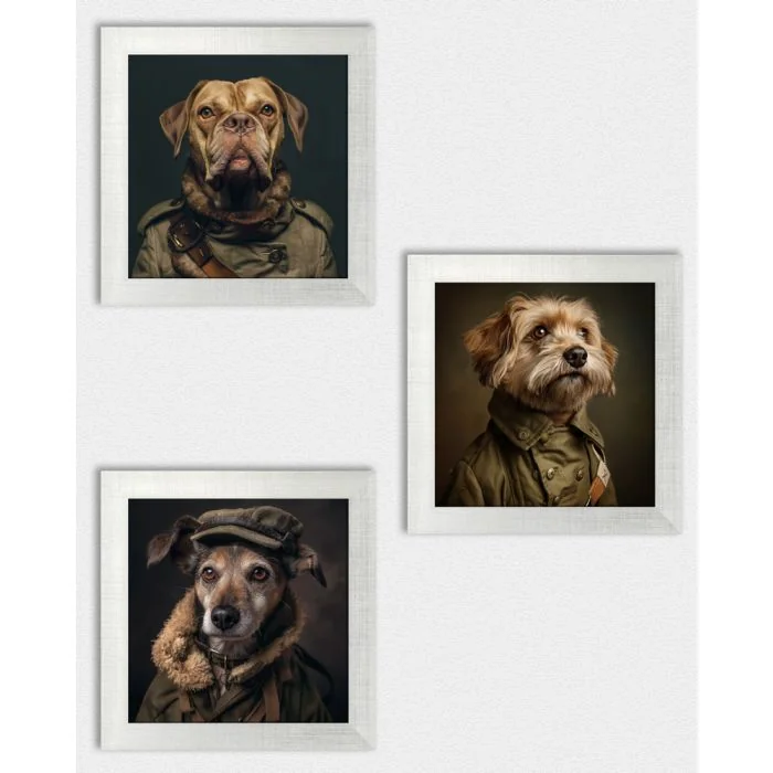 Posterset 'Generaldogs C2' - 3 Poster