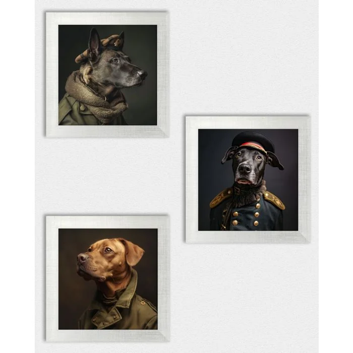Posterset 'Generaldogs C3' - 3 Poster