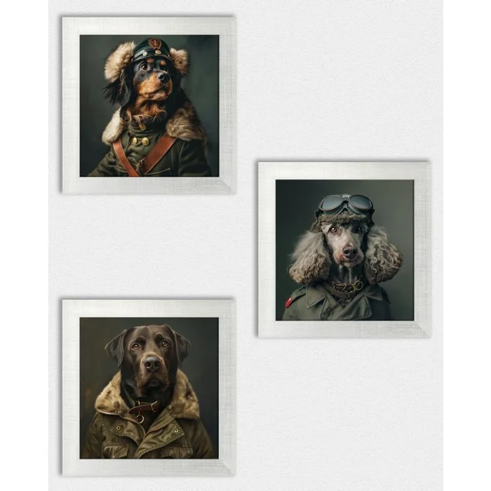 Posterset 'Generaldogs C4' - 3 Poster