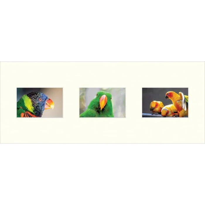 Galerie-Passepartout 4213 für Rahmen 25x62,5