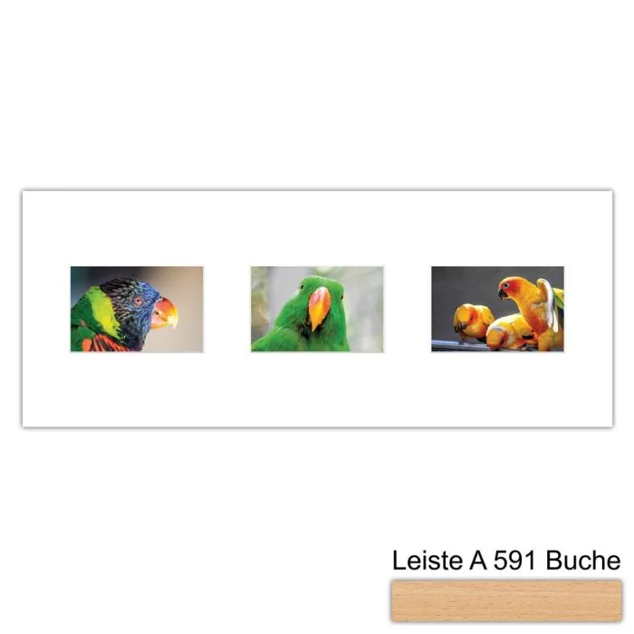 Galerierahmen Design 4213, 25x62,5, 3 Ausschnitte 10x15 buche-natur