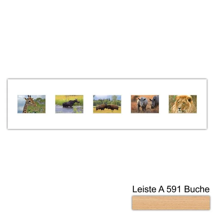 Galerierahmen Design 4215, 25x100, 5 Ausschnitte 10x15 buche-natur