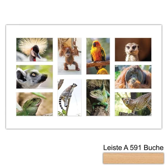 Galerierahmen Design 4232, 40x60, 10 Ausschnitte 10x15 buche-natur