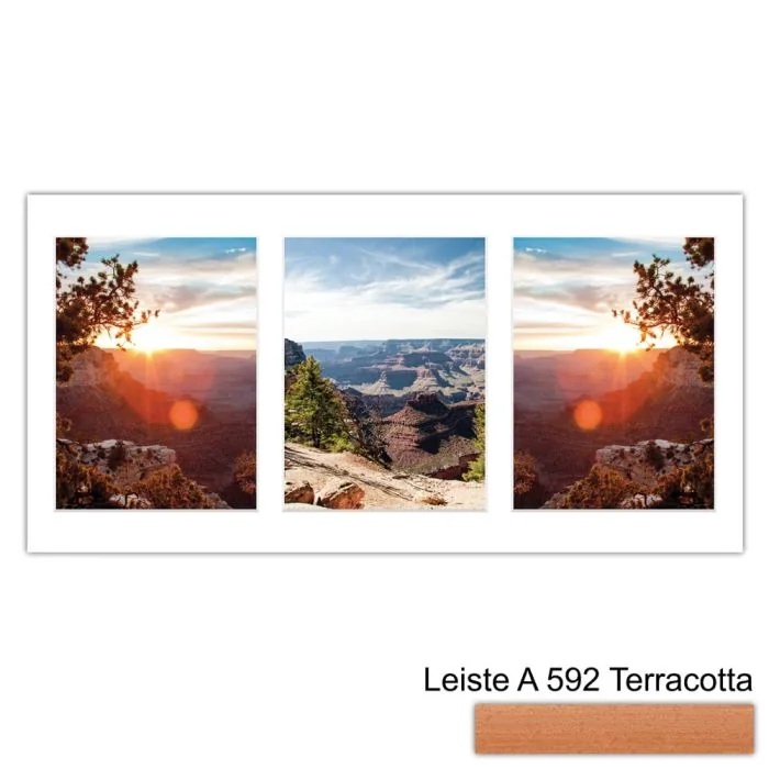 Galerierahmen Design 4209, 25x50, 3 Ausschnitte 15x20 terracotta
