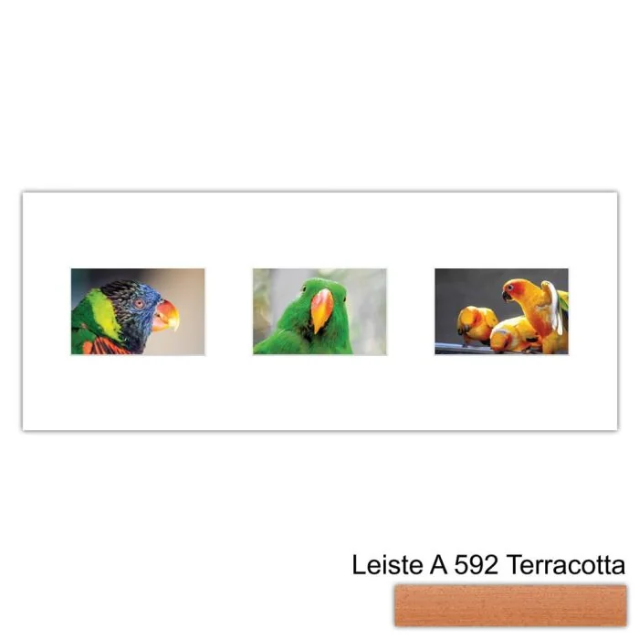 Galerierahmen Design 4213, 25x62,5, 3 Ausschnitte 10x15 terracotta