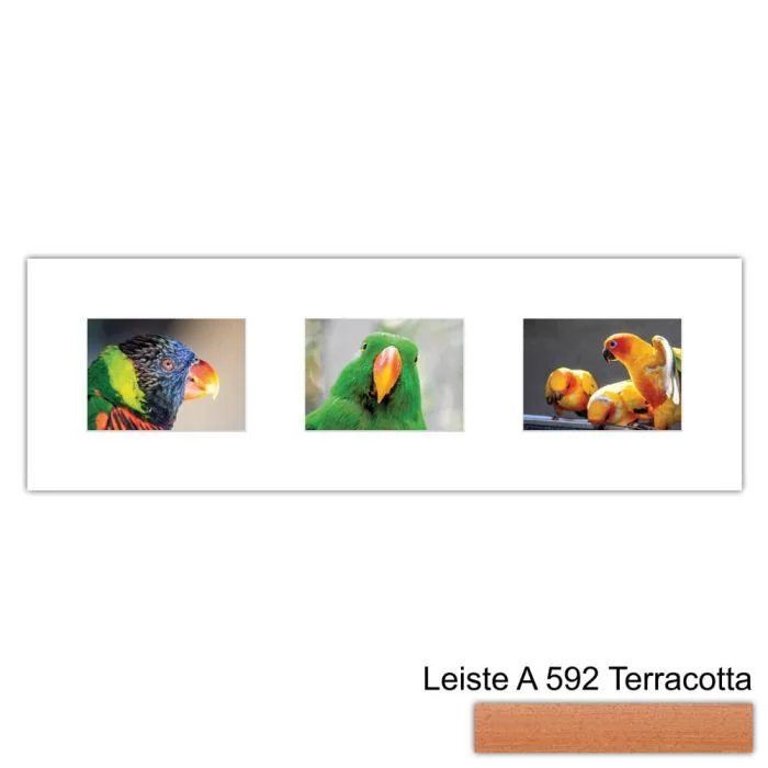 Galerierahmen Design 4217, 25x77, 3 Ausschnitte 13x18 terracotta