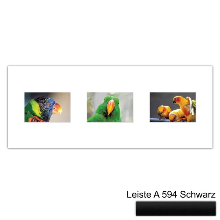 Galerierahmen Design 4213, 25x62,5, 3 Ausschnitte 10x15 mattschwarz