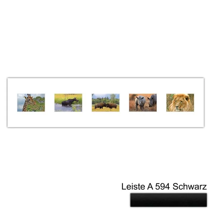 Galerierahmen Design 4215, 25x100, 5 Ausschnitte 10x15 mattschwarz