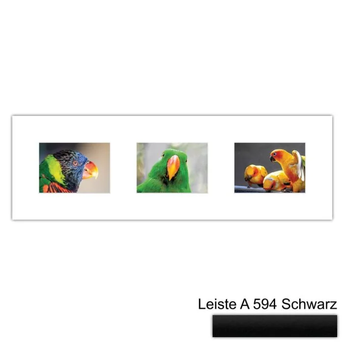 Galerierahmen Design 4217, 25x77, 3 Ausschnitte 13x18 mattschwarz