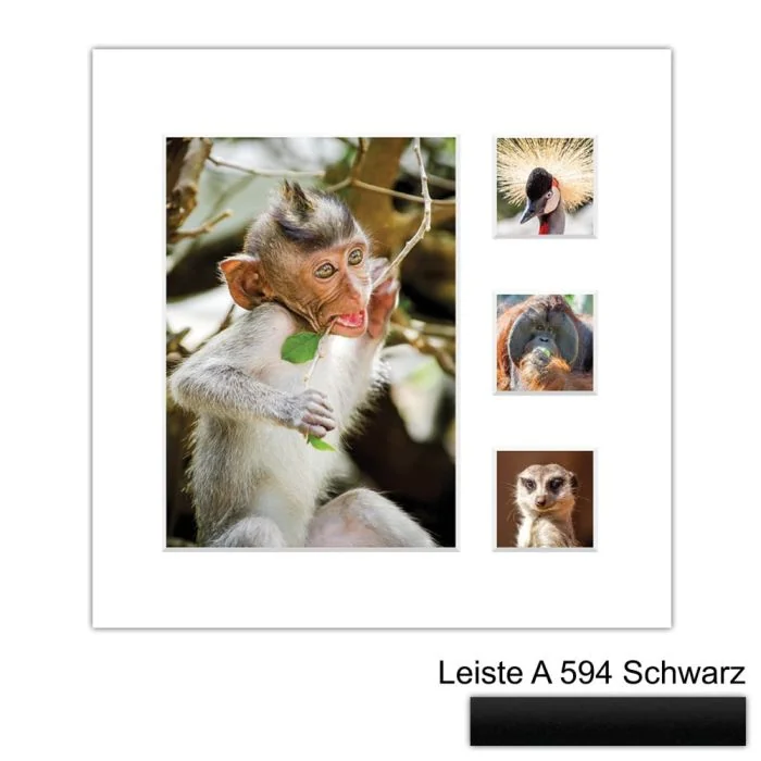 Galerierahmen Design 4224, 24x24, 1 Ausschnitt 13x18, 3 Ausschnitte 5x5 mattschwarz