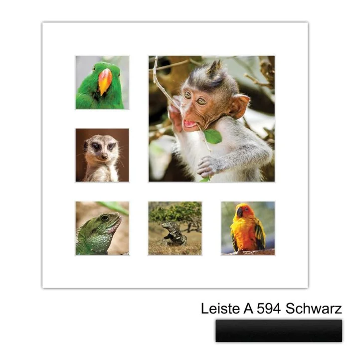 Galerierahmen Design 4227, 40x40, 1 Ausschnitt 20x20, 5 Ausschnitte 9x9 mattschwarz