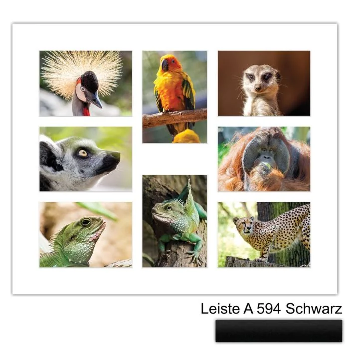Galerierahmen Design 4241, 50x60, 8 Ausschnitte 13x18 mattschwarz