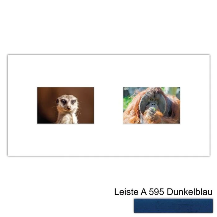 Galerierahmen Design 4212, 25x50, 2 Ausschnitte 10x15 dunkelblau