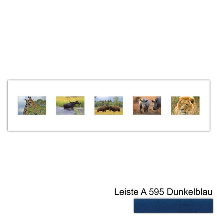 Galerierahmen Design 4215, 25x100, 5 Ausschnitte 10x15 dunkelblau