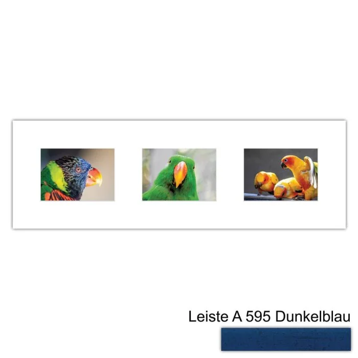 Galerierahmen Design 4217, 25x77, 3 Ausschnitte 13x18 dunkelblau