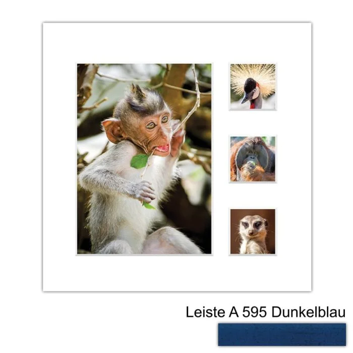Galerierahmen Design 4224, 24x24, 1 Ausschnitt 13x18, 3 Ausschnitte 5x5 dunkelblau