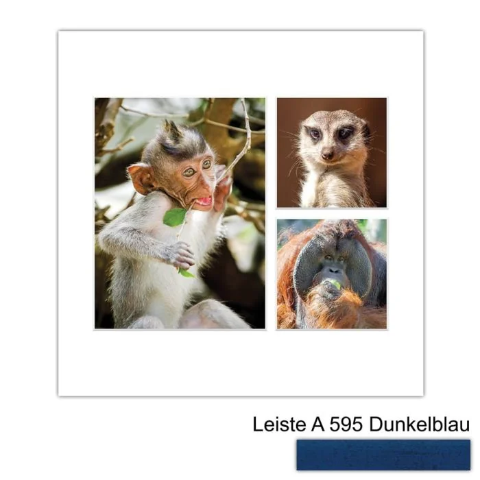 Galerierahmen Design 4225, 30x30, 1 Ausschnitt 15x20, 2 Ausschnitte 10x10 dunkelblau