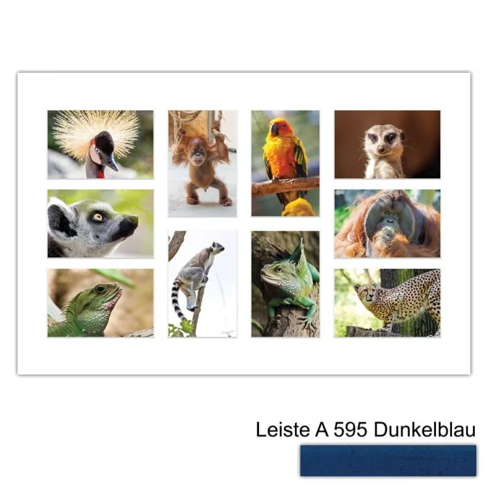 Galerierahmen Design 4232, 40x60, 10 Ausschnitte 10x15 dunkelblau