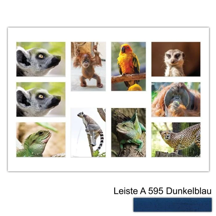 Galerierahmen Design 4239, 50x70, 10 Ausschnitte 13x18 dunkelblau