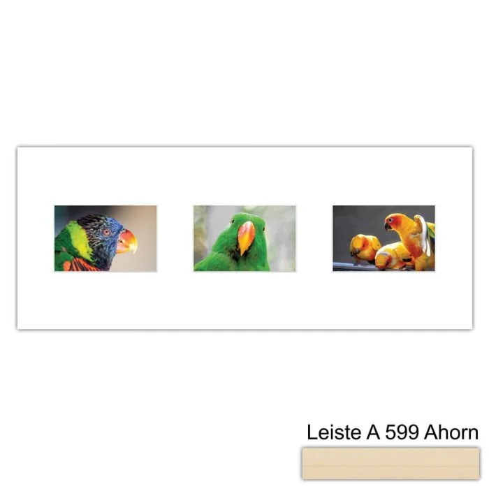 Galerierahmen Design 4213, 25x62,5, 3 Ausschnitte 10x15 ahorn-natur