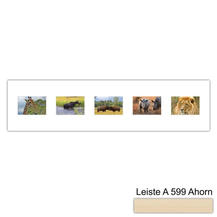 Galerierahmen Design 4215, 25x100, 5 Ausschnitte 10x15 ahorn-natur