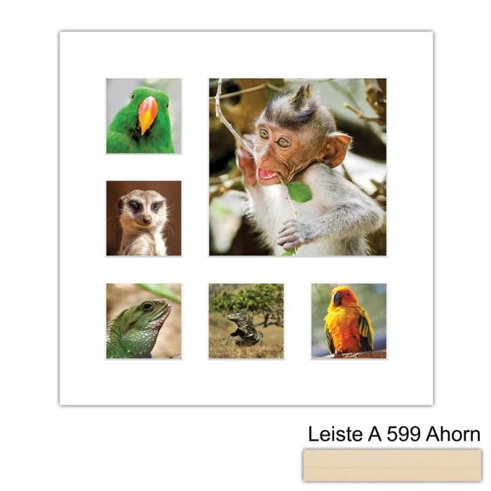 Galerierahmen Design 4227, 40x40, 1 Ausschnitt 20x20, 5 Ausschnitte 9x9 ahorn-natur