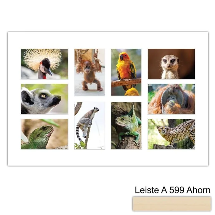 Galerierahmen Design 4232, 40x60, 10 Ausschnitte 10x15 ahorn-natur